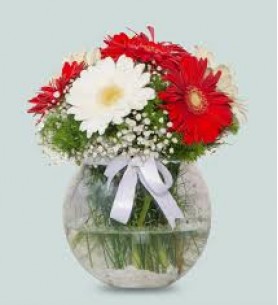 malatya cam vazoda gerbera